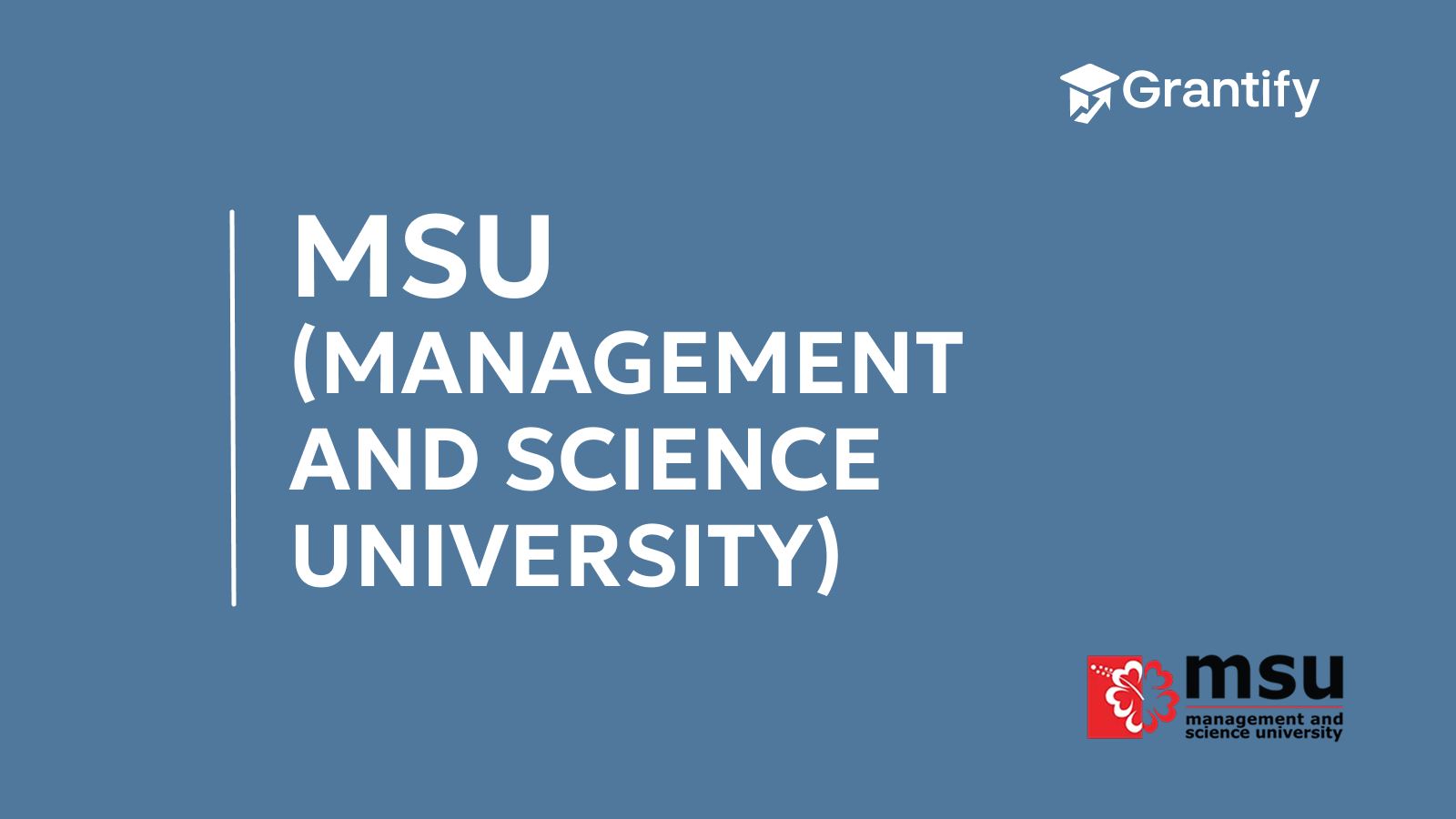 Why Management and Science University (MSU) Is a Top Choice for International Students